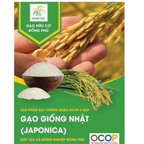 Gạo Hữu Cơ Đồng Phú