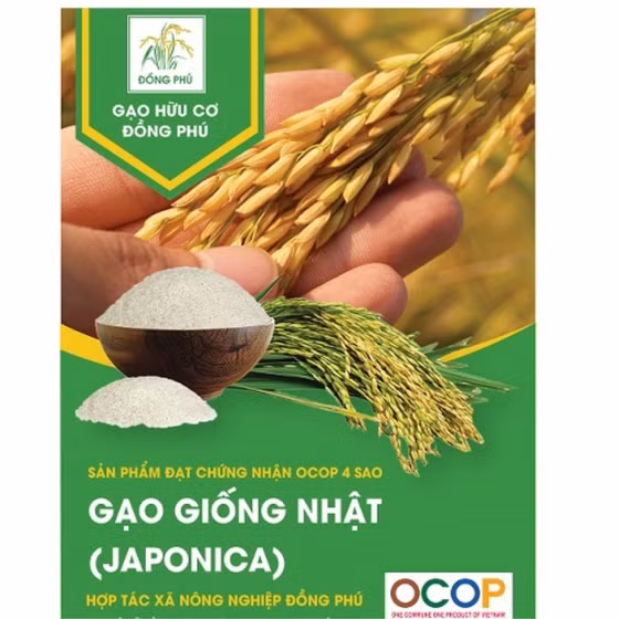Gạo Hữu Cơ Đồng Phú