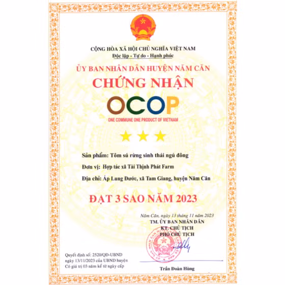 Tôm sú rừng sinh thái ngủ đông