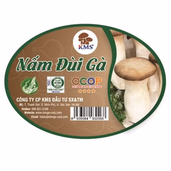 Nấm đùi gà