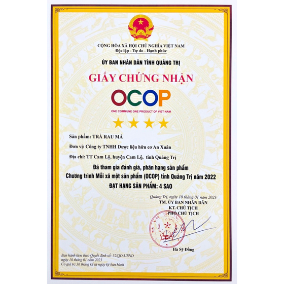 Trà túi lọc rau má