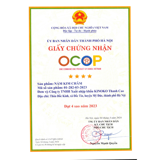 Nấm kim châm Kinoko