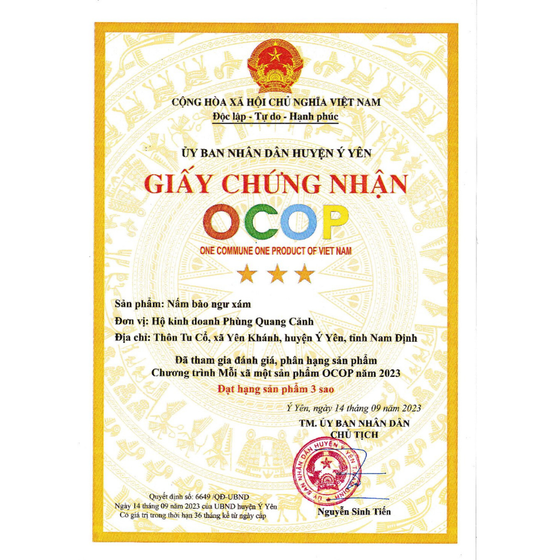 Nấm bào ngư xám