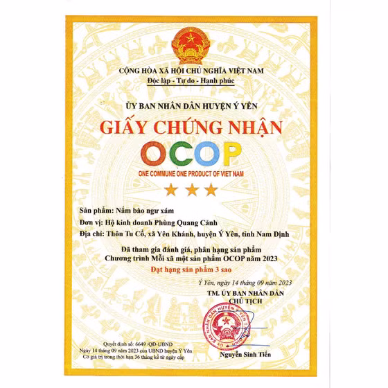 Nấm bào ngư xám