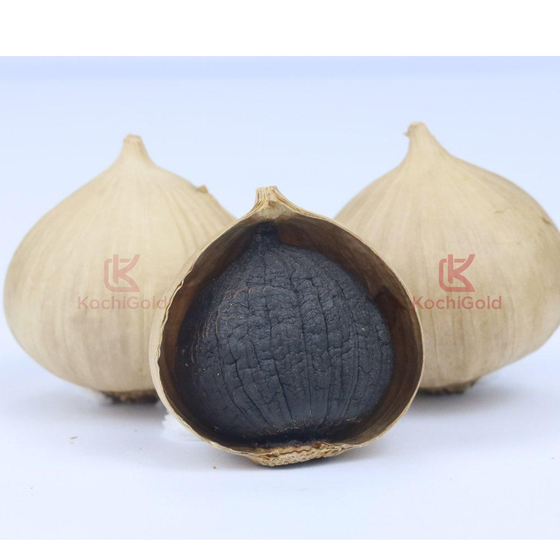 Tỏi đen Kochi