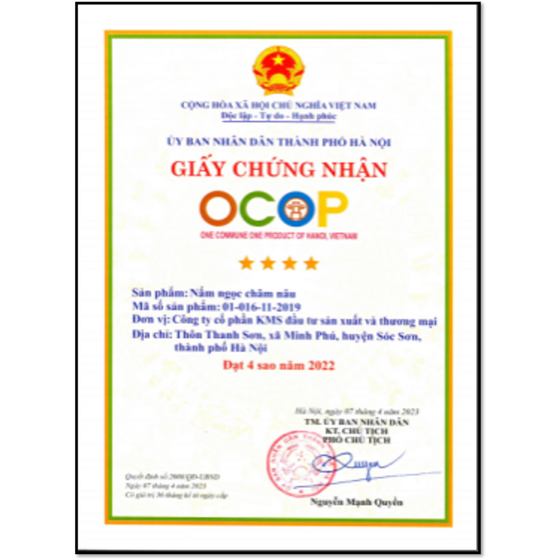 Nấm ngọc châm nâu KMS