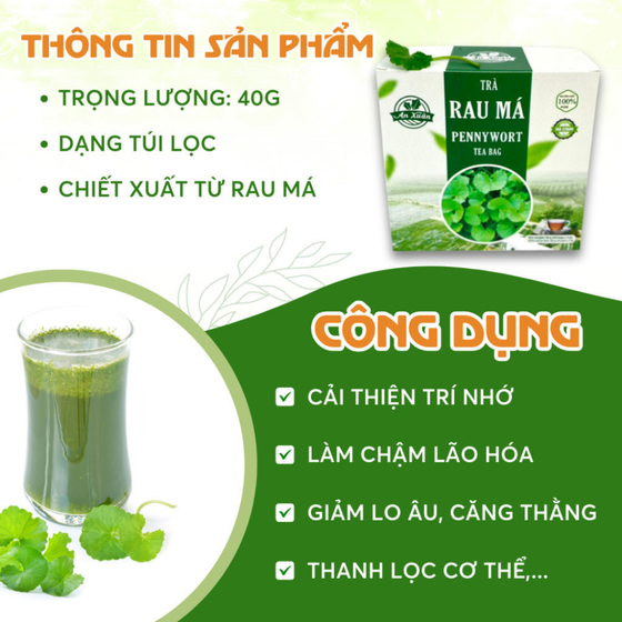 Trà túi lọc rau má