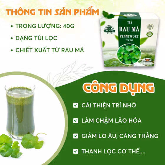 Trà túi lọc rau má