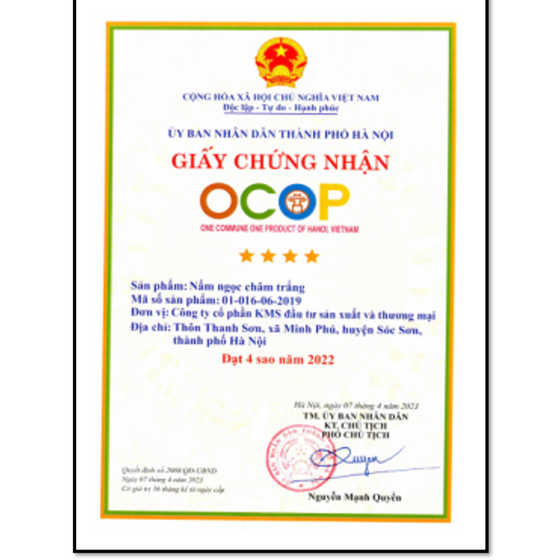 Nấm ngọc châm trắng KMS