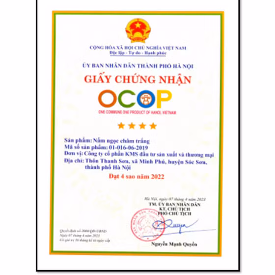 Nấm ngọc châm trắng KMS