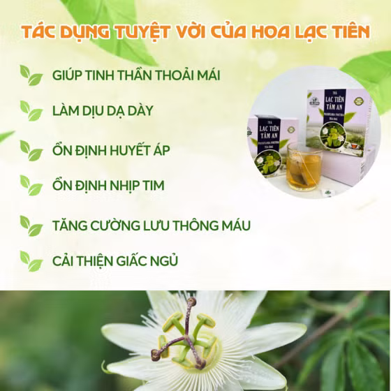 Trà Lạc tiên
