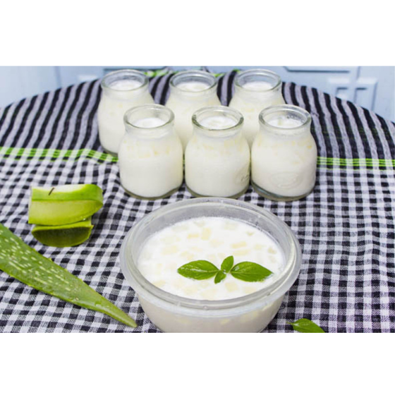 Sữa chua nha đam Myfarm