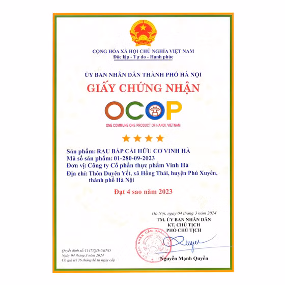 Rau bắp cải hữu cơ Vinh Hà