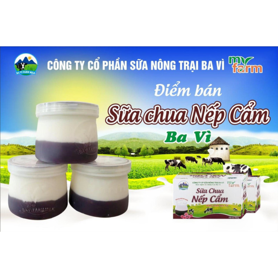Sữa chua nếp cẩm Myfarm