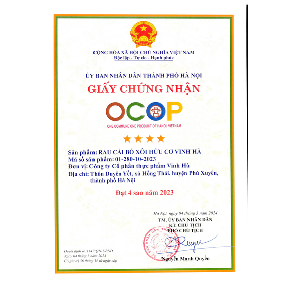 Rau cải bó xôi hữu cơ Vinh Hà