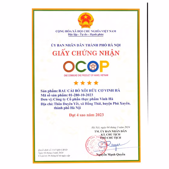 Rau cải bó xôi hữu cơ Vinh Hà