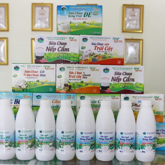  Sữa tươi nông trại bò thanh trùng Myfarm