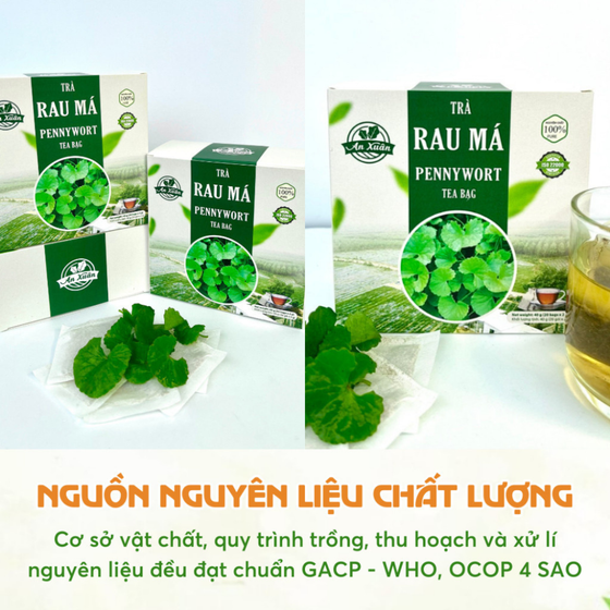 Trà túi lọc rau má