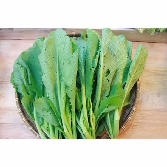 Rau cải xanh hữu cơ Vinh Hà