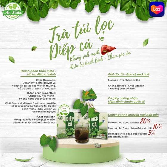 Trà túi lọc diếp cá