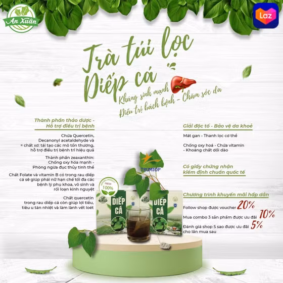 Trà túi lọc diếp cá