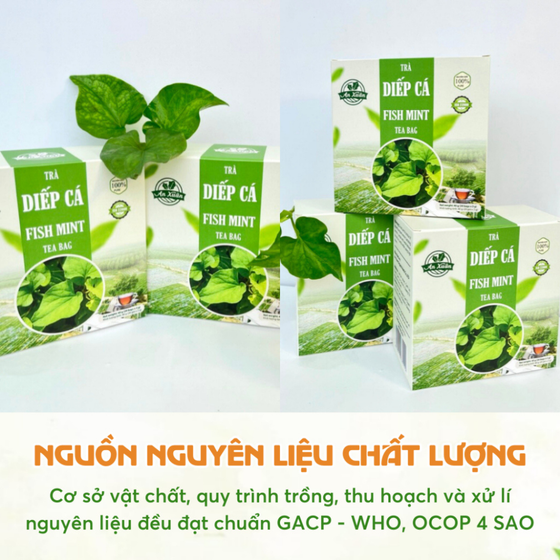 Trà túi lọc diếp cá