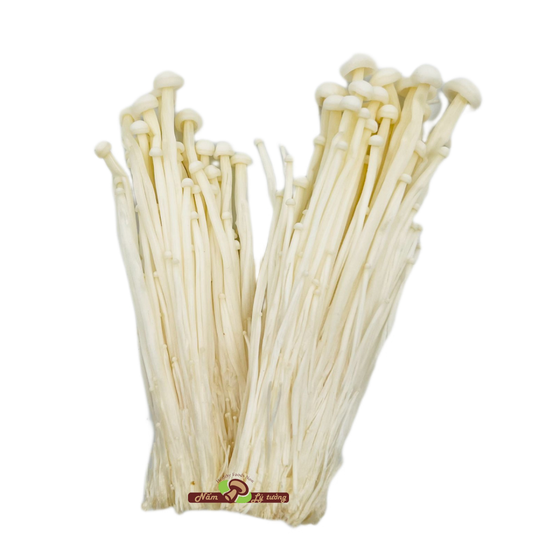 Nấm kim châm Kinoko