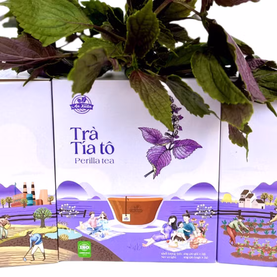Trà tía tô