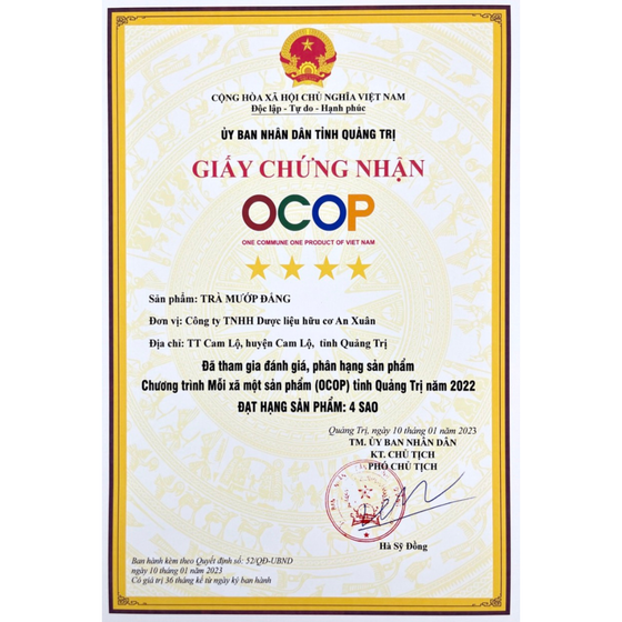 Trà túi lọc mướp đắng 