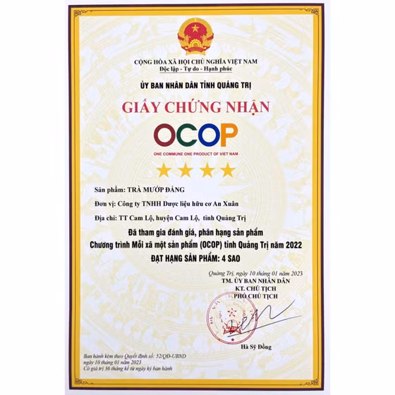 Trà túi lọc mướp đắng 