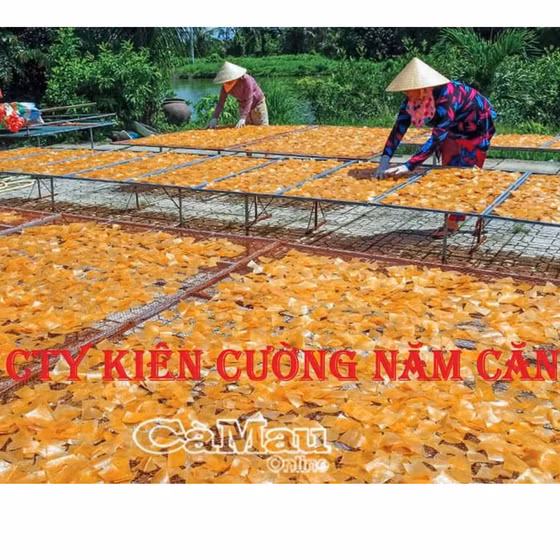 Bánh phồng tôm tít