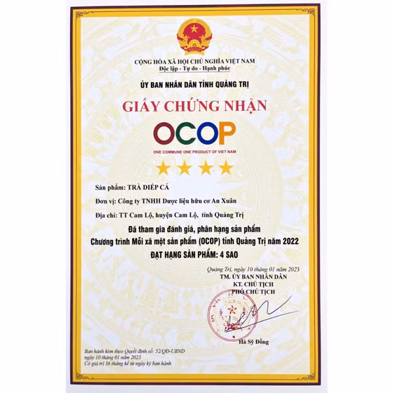 Trà túi lọc diếp cá