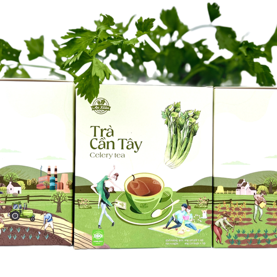 Trà túi lọc cần tây