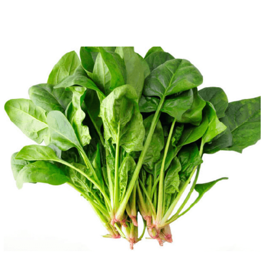 Rau cải bó xôi hữu cơ Vinh Hà