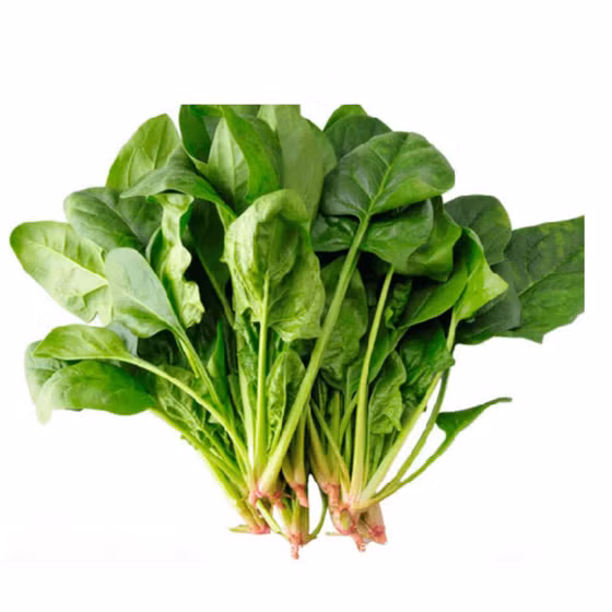 Rau cải bó xôi hữu cơ Vinh Hà