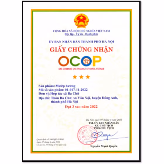 Mướp hương