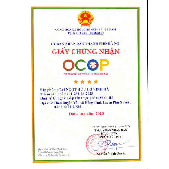 Cải ngọt hữu cơ Vinh Hà