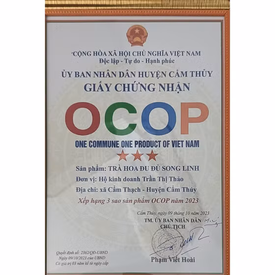 Trà hoa đu đủ Song Linh