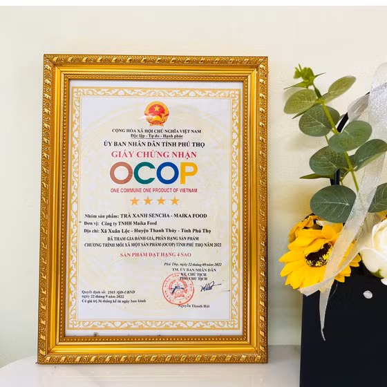 Trà xanh Sencha - Maika Food