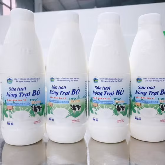  Sữa tươi nông trại bò thanh trùng Myfarm