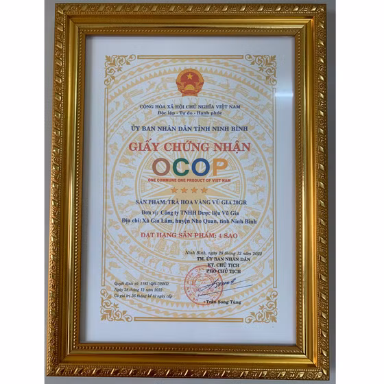 Trà hoa vàng Vũ Gia 