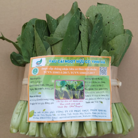 Cải ngọt hữu cơ Vinh Hà