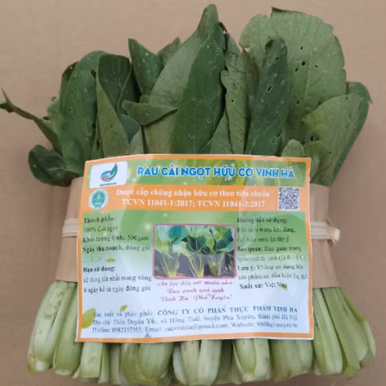 Cải ngọt hữu cơ Vinh Hà
