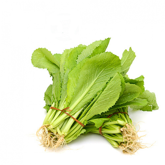 Rau cải xanh hữu cơ Vinh Hà