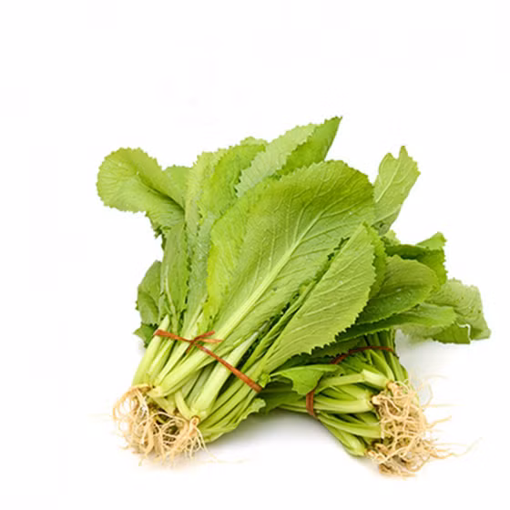 Rau cải xanh hữu cơ Vinh Hà