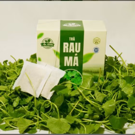 Trà túi lọc rau má