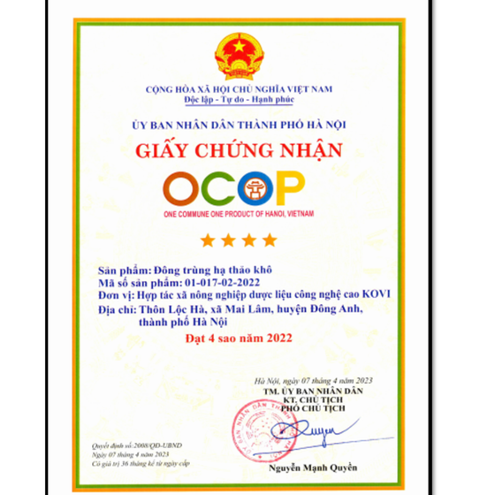 Đông trùng hạ thảo khô KOVI