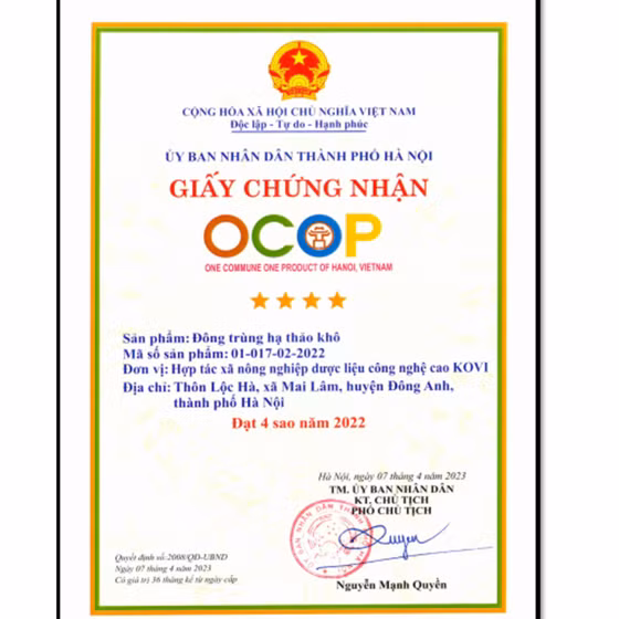 Đông trùng hạ thảo khô KOVI