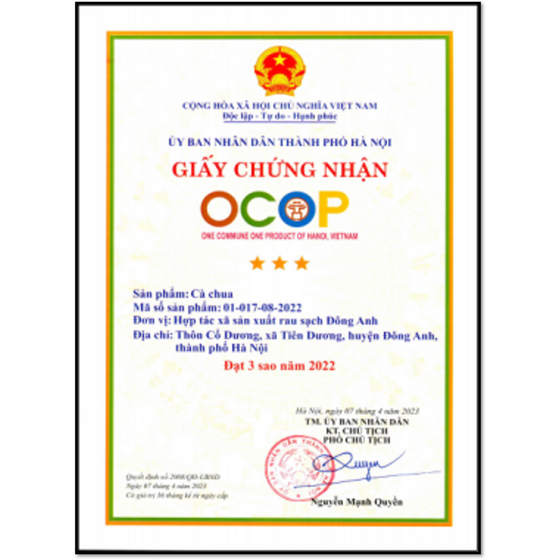 Cà chua sạch Đông Anh