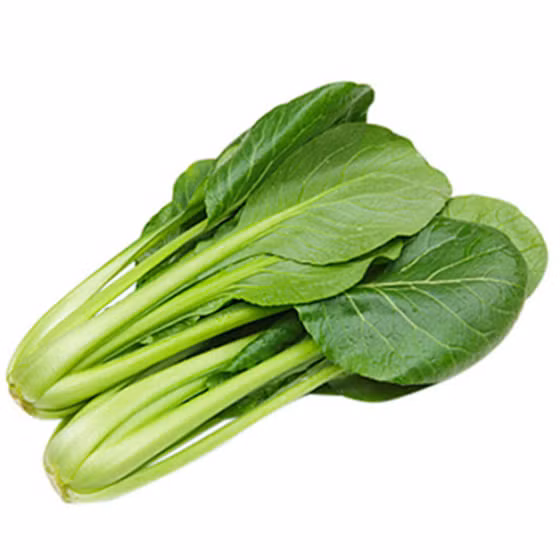 Cải ngọt hữu cơ Vinh Hà